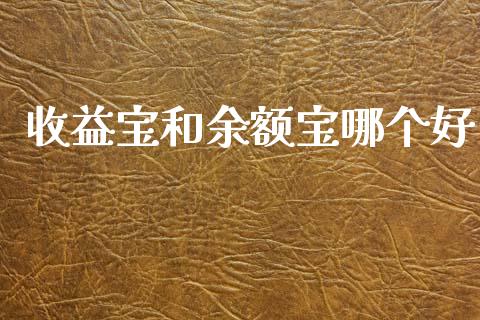 收益宝和余额宝哪个好_https://www.qmgjg.com_港股恒生指数_第1张