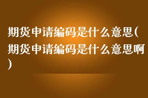 期货申请编码是什么意思(期货申请编码是什么意思啊)_https://www.qmgjg.com_港股恒生指数_第1张