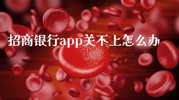 招商银行app关不上怎么办_https://www.qmgjg.com_恒生指数是什么_第1张