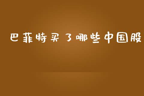 巴菲特买了哪些中国股_https://www.qmgjg.com_香港恒生指数_第1张