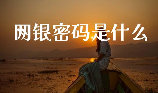 网银密码是什么_https://www.qmgjg.com_恒生指数期货_第1张