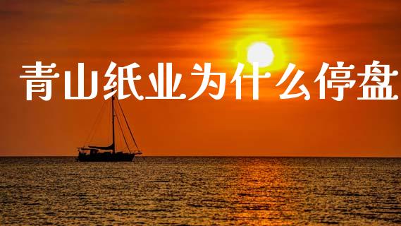 青山纸业为什么停盘_https://www.qmgjg.com_恒生指数期货_第1张