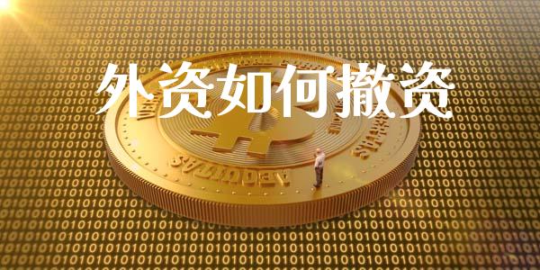 外资如何撤资_https://www.qmgjg.com_恒生指数是什么_第1张