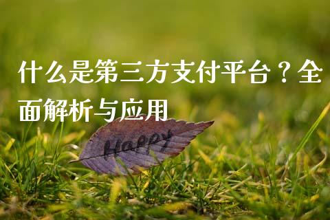 什么是第三方支付平台？全面解析与应用_https://www.qmgjg.com_港股恒生指数_第1张