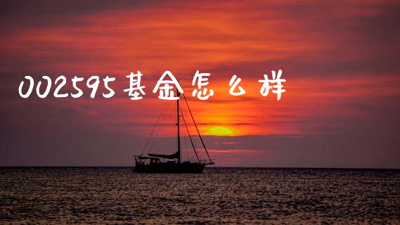 002595基金怎么样_https://www.qmgjg.com_香港恒生指数_第1张