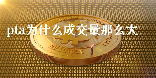 pta为什么成交量那么大_https://www.qmgjg.com_港股恒生指数_第1张