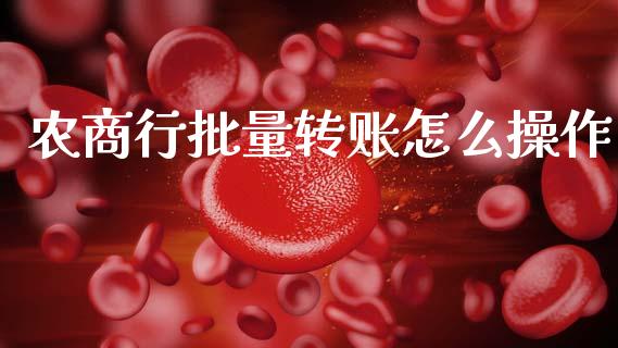 农商行批量转账怎么操作_https://www.qmgjg.com_港股恒生指数_第1张