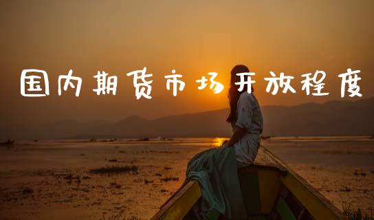 国内期货市场开放程度_https://www.qmgjg.com_恒生指数期货_第1张