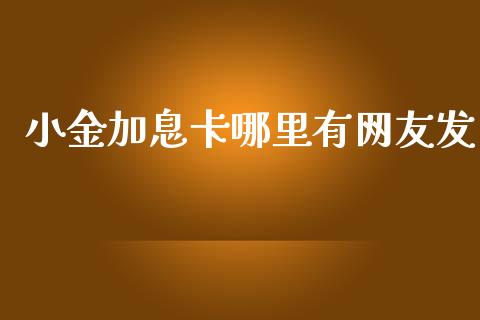 小金加息卡哪里有网友发_https://www.qmgjg.com_恒生指数是什么_第1张