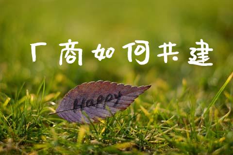 厂商如何共建_https://www.qmgjg.com_港股恒生指数_第1张