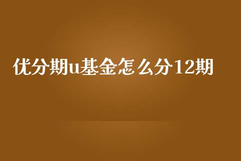 优分期u基金怎么分12期_https://www.qmgjg.com_港股恒生指数_第1张