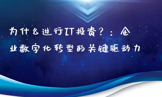 为什么进行IT投资？：企业数字化转型的关键驱动力_https://www.qmgjg.com_恒生指数期货_第1张