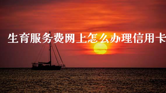 生育服务费网上怎么办理信用卡_https://www.qmgjg.com_港股恒生指数_第1张