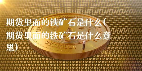 期货里面的铁矿石是什么(期货里面的铁矿石是什么意思)_https://www.qmgjg.com_恒生指数期货_第1张