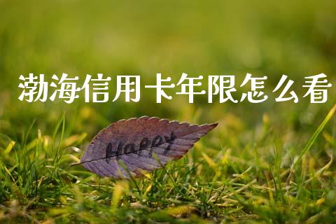 渤海信用卡年限怎么看_https://www.qmgjg.com_香港恒生指数_第1张