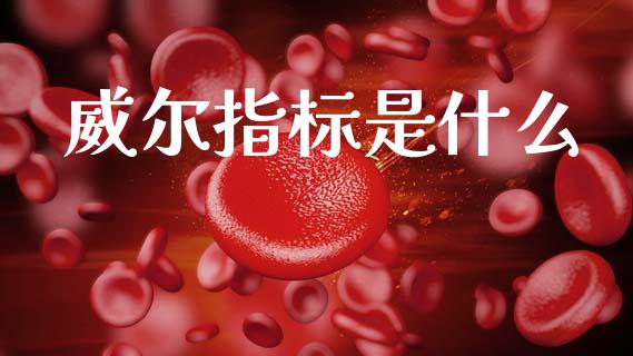 威尔指标是什么_https://www.qmgjg.com_港股恒生指数_第1张