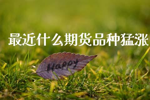 最近什么期货品种猛涨_https://www.qmgjg.com_恒生指数期货_第1张