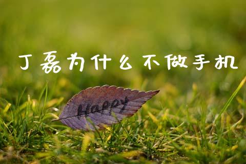 丁磊为什么不做手机_https://www.qmgjg.com_香港恒生指数_第1张