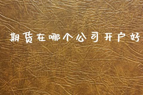 期货在哪个公司开户好_https://www.qmgjg.com_恒生指数期货_第1张