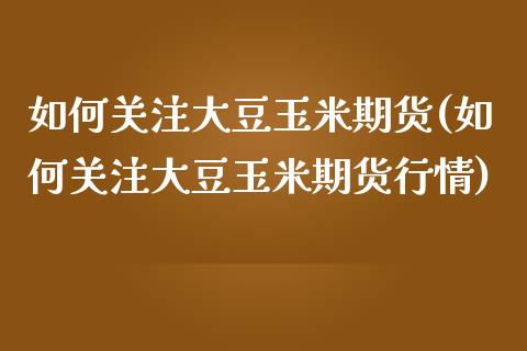 如何关注大豆玉米期货(如何关注大豆玉米期货行情)_https://www.qmgjg.com_香港恒生指数_第1张