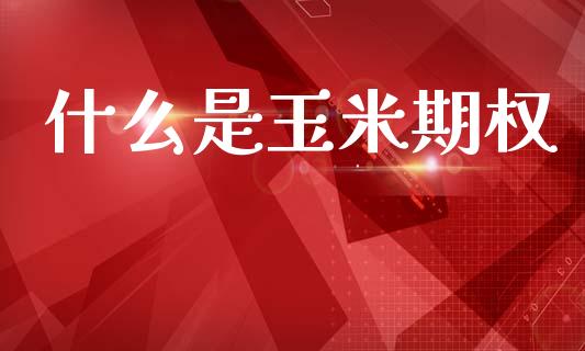 什么是玉米期权_https://www.qmgjg.com_恒生指数期货_第1张