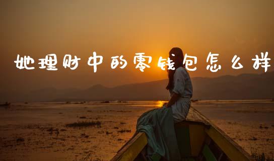 她理财中的零钱包怎么样_https://www.qmgjg.com_恒生指数是什么_第1张