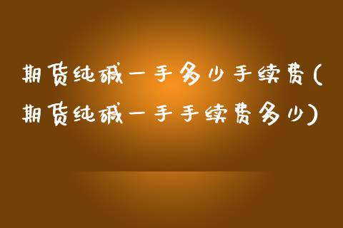 期货纯碱一手多少手续费(期货纯碱一手手续费多少)_https://www.qmgjg.com_恒生指数是什么_第1张