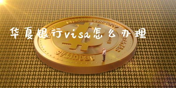 华夏银行visa怎么办理_https://www.qmgjg.com_恒生指数是什么_第1张
