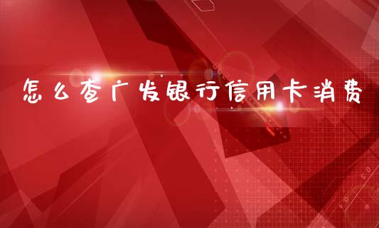怎么查广发银行信用卡消费_https://www.qmgjg.com_恒生指数期货_第1张