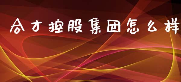 合才控股集团怎么样_https://www.qmgjg.com_香港恒生指数_第1张