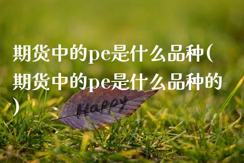 期货中的pe是什么品种(期货中的pe是什么品种的)_https://www.qmgjg.com_港股恒生指数_第1张