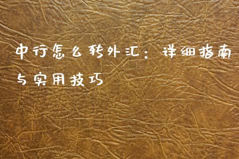 中行怎么转外汇：详细指南与实用技巧_https://www.qmgjg.com_香港恒生指数_第1张