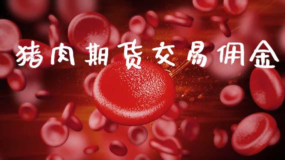 猪肉期货交易佣金_https://www.qmgjg.com_恒生指数期货_第1张