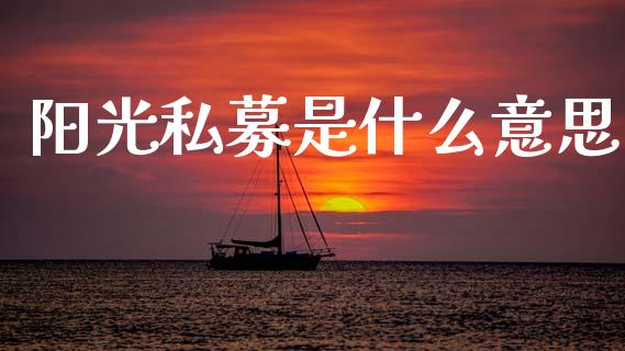 阳光私募是什么意思_https://www.qmgjg.com_恒生指数是什么_第1张
