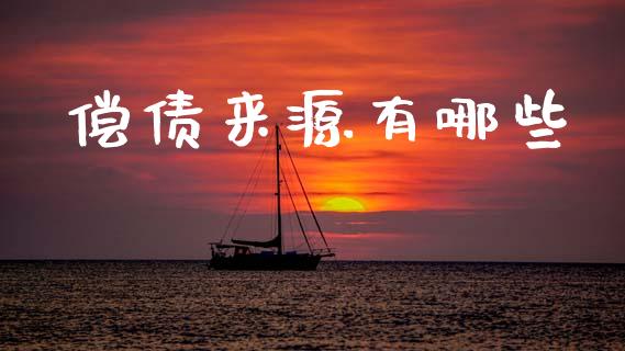 偿债来源有哪些_https://www.qmgjg.com_香港恒生指数_第1张