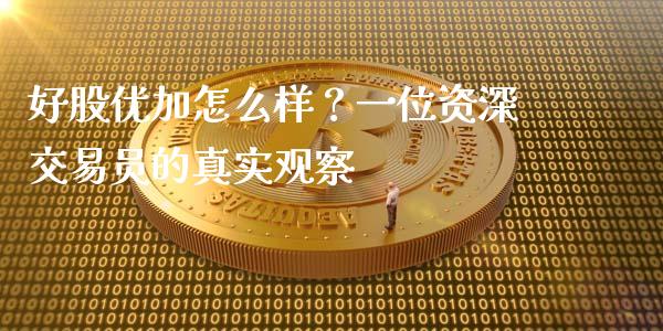 好股优加怎么样？一位资深交易员的真实观察_https://www.qmgjg.com_恒生指数是什么_第1张