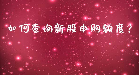 如何查询新股申购额度？_https://www.qmgjg.com_恒生指数期货_第1张