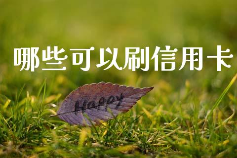 哪些可以刷信用卡_https://www.qmgjg.com_香港恒生指数_第1张