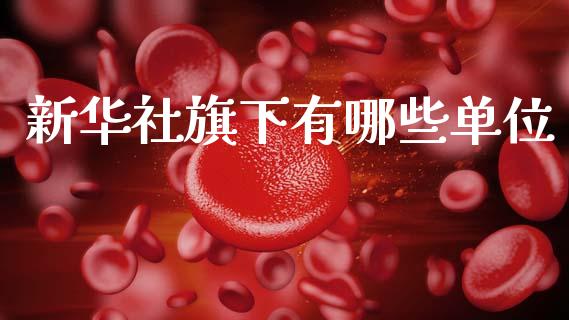 新华社旗下有哪些单位_https://www.qmgjg.com_香港恒生指数_第1张