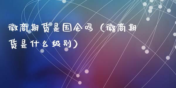 徽商期货是国企吗（徽商期货是什么级别）_https://www.qmgjg.com_恒生指数期货_第1张