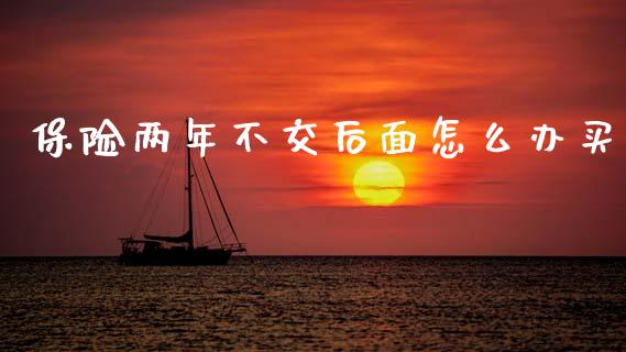 保险两年不交后面怎么办买_https://www.qmgjg.com_恒生指数期货_第1张
