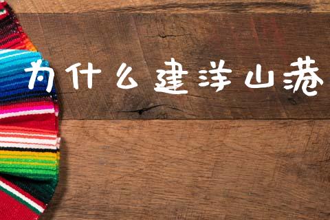 为什么建洋山港_https://www.qmgjg.com_恒生指数期货_第1张
