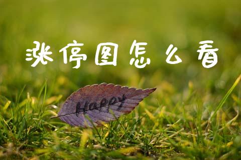 涨停图怎么看_https://www.qmgjg.com_恒生指数是什么_第1张