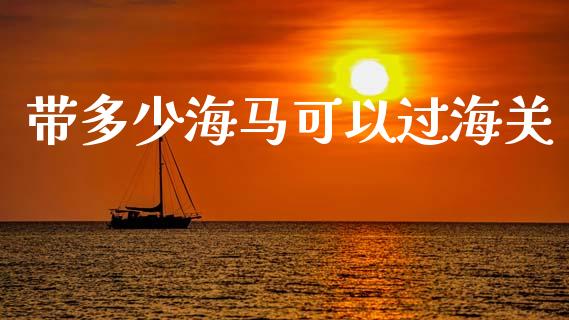 带多少海马可以过海关_https://www.qmgjg.com_港股恒生指数_第1张