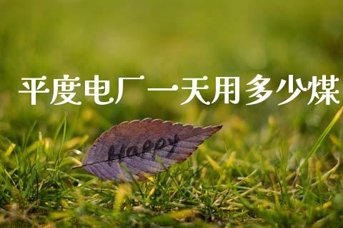 平度电厂一天用多少煤_https://www.qmgjg.com_港股恒生指数_第1张