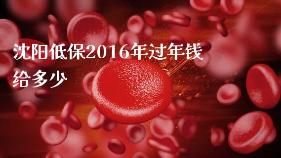 沈阳低保2016年过年钱给多少_https://www.qmgjg.com_恒生指数期货_第1张