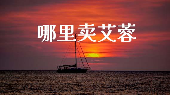 哪里卖艾蓉_https://www.qmgjg.com_恒生指数期货_第1张