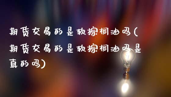 期货交易的是软棕榈油吗(期货交易的是软棕榈油吗是真的吗)_https://www.qmgjg.com_恒生指数期货_第1张