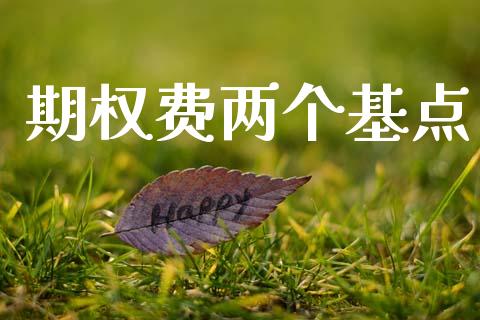 期权费两个基点_https://www.qmgjg.com_恒生指数期货_第1张