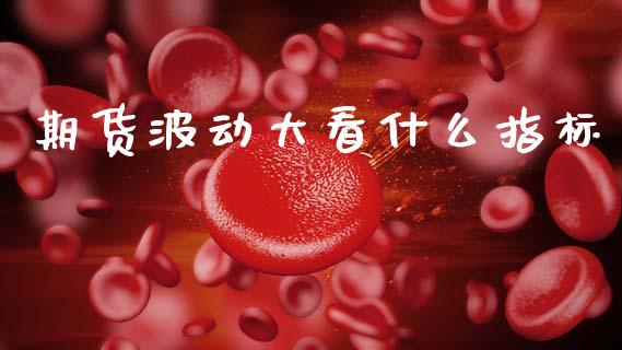 期货波动大看什么指标_https://www.qmgjg.com_恒生指数期货_第1张